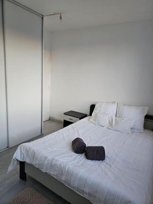 Bel Appartement A Шоази-льо-Роа Екстериор снимка